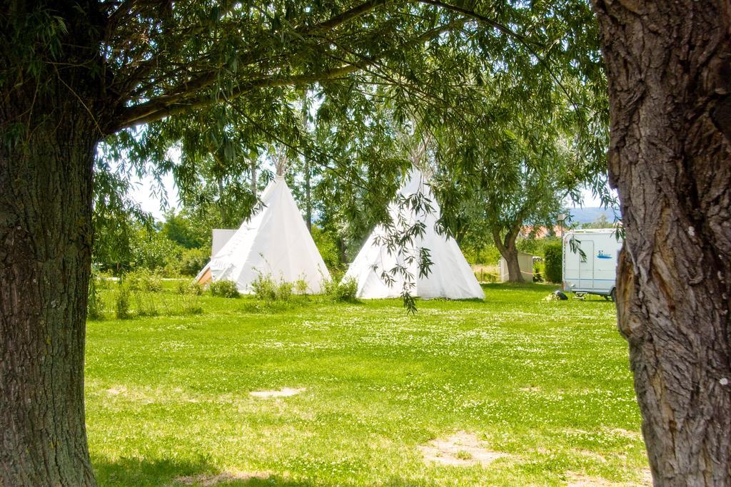 Storchencamp Gaestehaus Purbach พูร์บาค อัม นอยซีดเลอร์เซ ภายนอก รูปภาพ