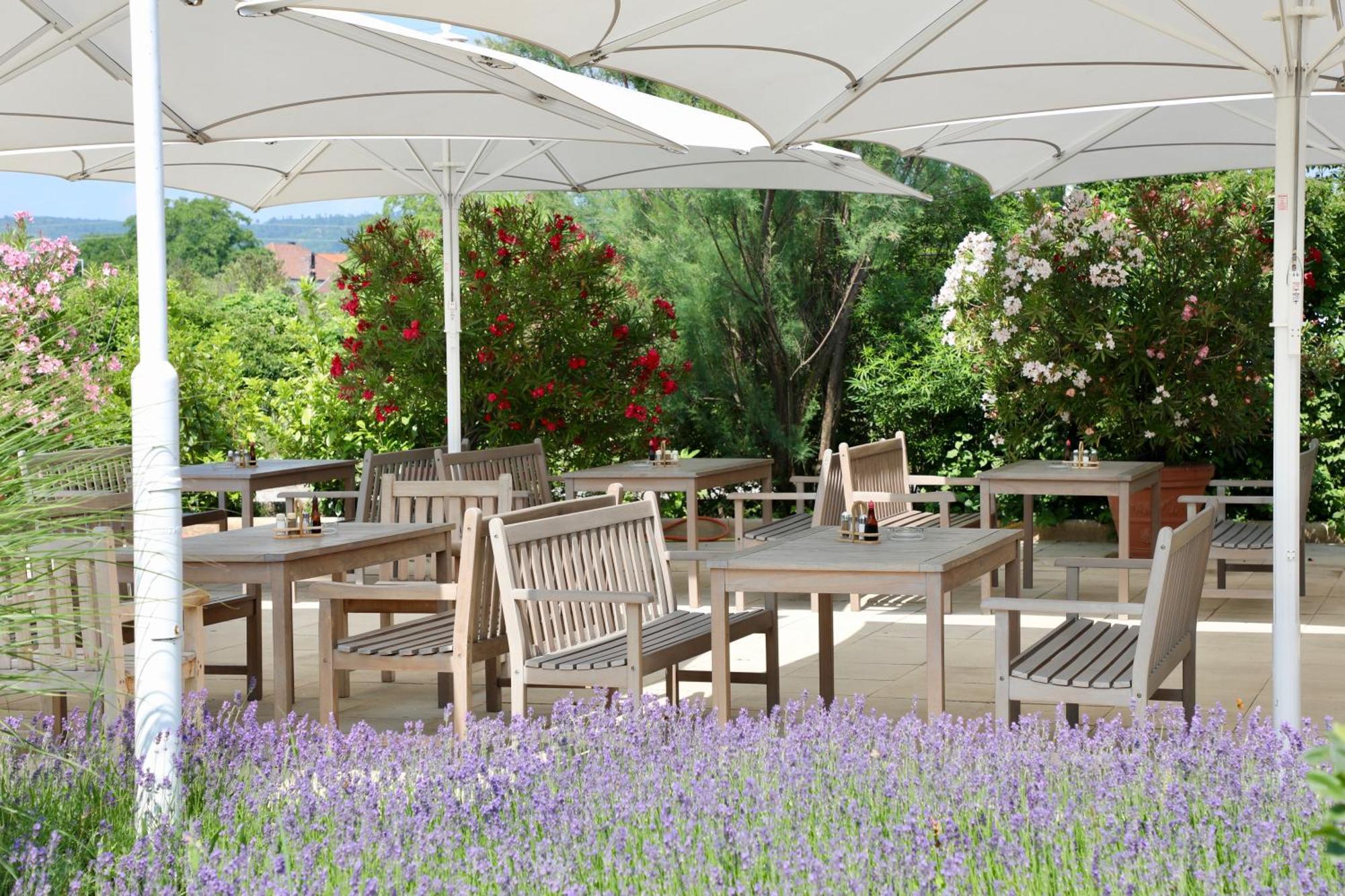 Storchencamp Gaestehaus Purbach พูร์บาค อัม นอยซีดเลอร์เซ ภายนอก รูปภาพ