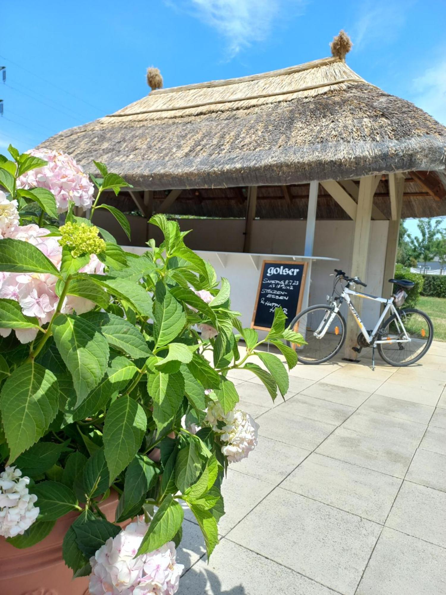 Storchencamp Gaestehaus Purbach พูร์บาค อัม นอยซีดเลอร์เซ ภายนอก รูปภาพ